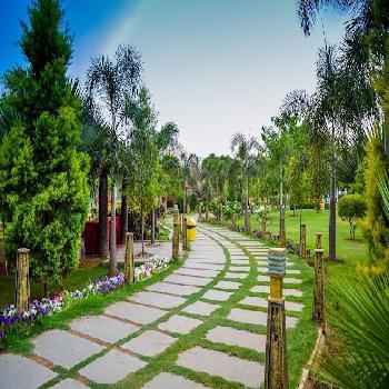 Dream Valley Resorts