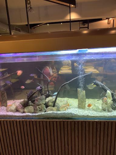 Tabla Restaurant and Banquet gallery image