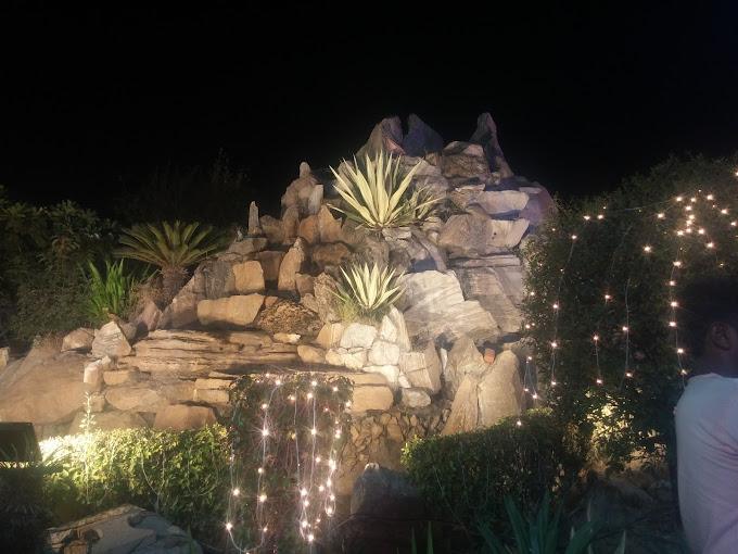 Eden Garden gallery image