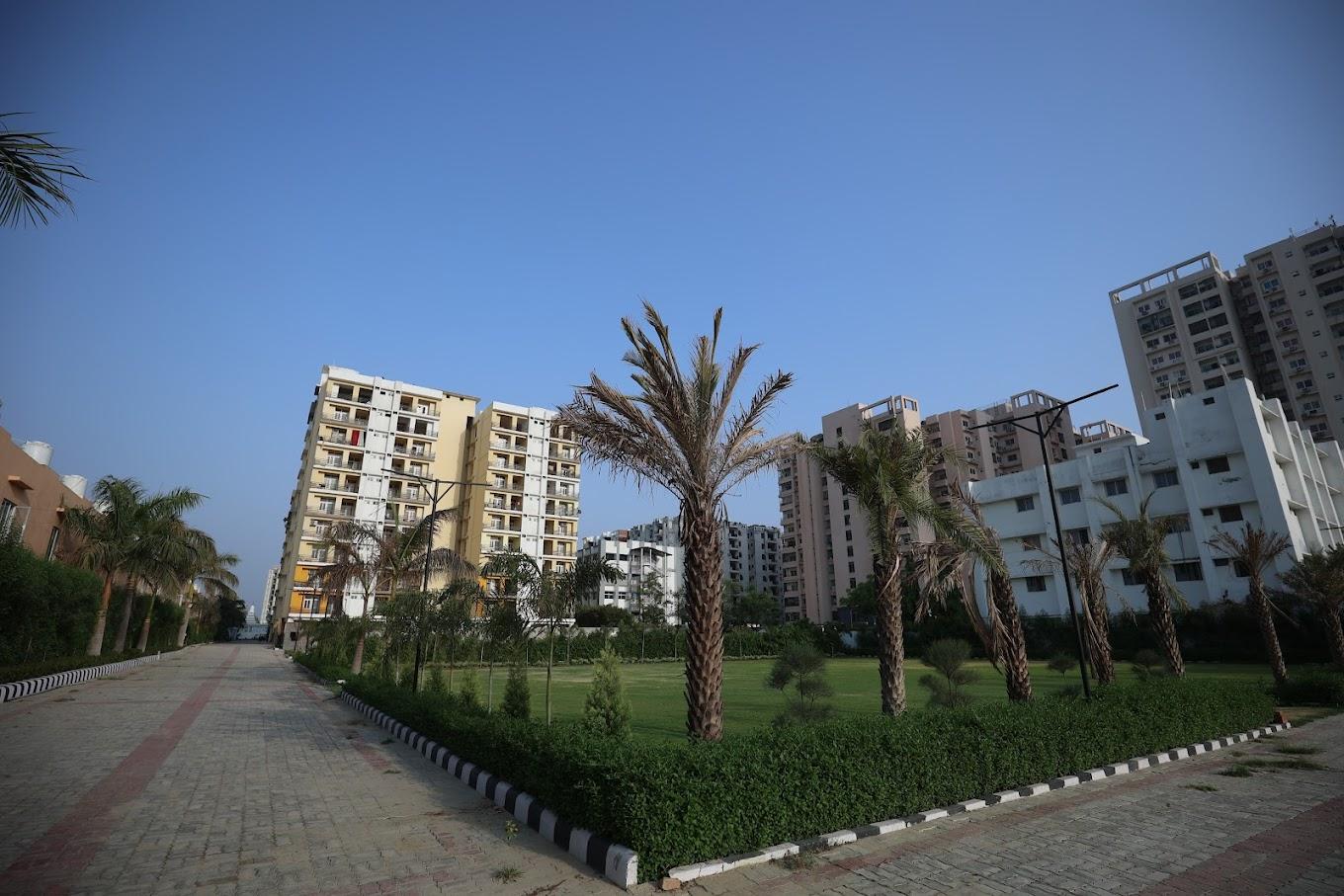 Dolphin Club and Resort outdoor - View 5
