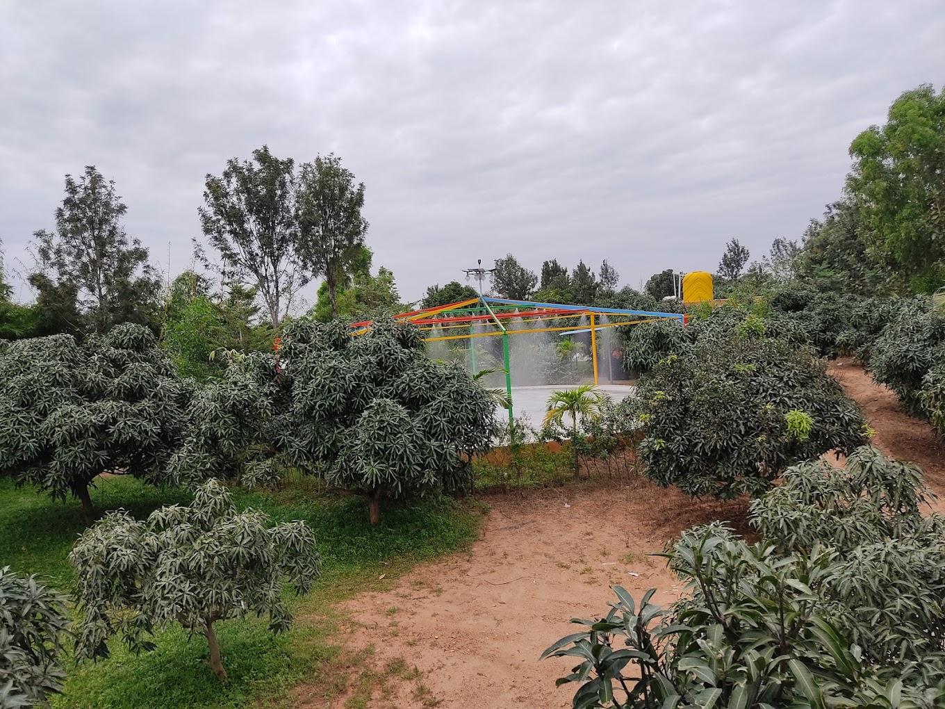 Suggee Resort Open Area - View 2