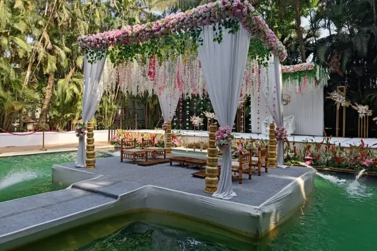 Exotica gallery image