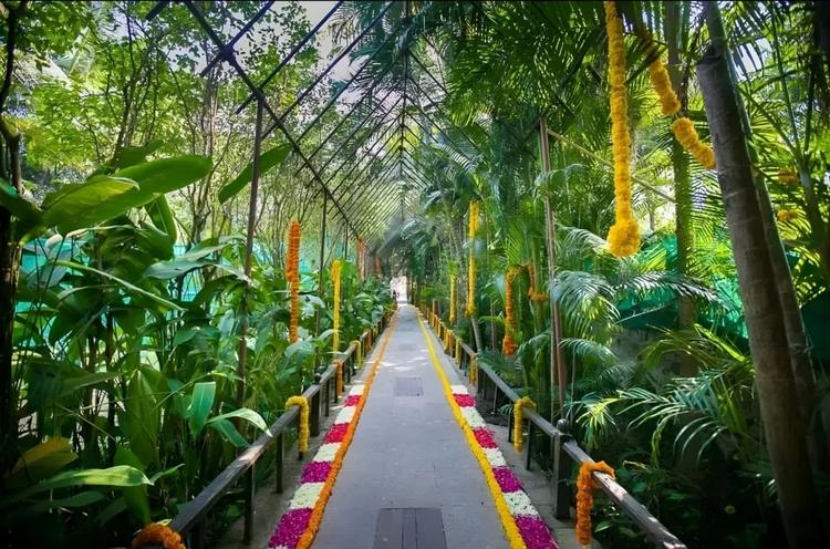 Exotica gallery image