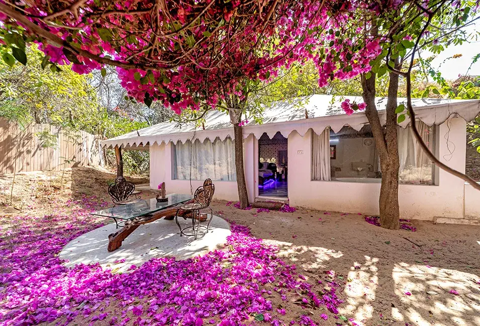 Lohagarh Fort Resort And Spa - View 4
