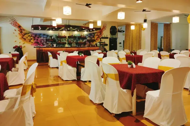 Alua Verna gallery image
